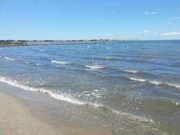 Camping Pas Cher vous présente avec son site Officiel campingpascher.fr, le Camping Abri De Camargue classé 4 étoiles, situé sur la commune de Le Grau Du Roi dans le département Gard (Languedoc Roussillon) en France. Le camping Abri De Camargue, vous présente un hébergement de type mobil-home de 22 m² pour 4 personnes et télévision. Le camping Abri De Camargue vous proposeun séjour PAS CHER avec une REMISEdu sam. 05 septembre au sam. 12 septembre 2026, en promotion à -30% pour 7 nuits à 299 € au lieu de 429,0 € soit une Économie de 130 €. Cette location propose 24 dates différentes pour réserver votre séjour. Découvrez également les 3 autres gammes d'hébergements du camping. Les Avis clients pour le Camping Abri De Camargue sont excellents avec une note moyenne de 8 sur 10. Mer, Piscine couverte, Piscine extérieure, Animations familiales, Club enfants, Aire de jeux enfants, Canoë-kayak, Centre équestre, Court de tennis, Golf, Ping-pong, Pétanque, Salle de jeux vidéo, Terrain multisports, Bar, Dépôt de pain, Plats à emporter, Snack/Bar, Station-service, Supermarché, Épicerie,... En savoir plus : cliquez-ICI.