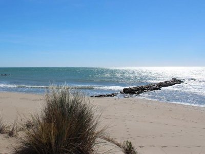 camping Eden photo 27
