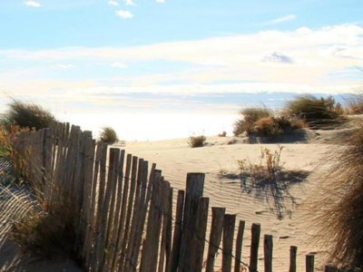camping Eden photo 28