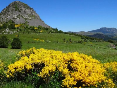 camping Flower Le Mas De Champel photo 20