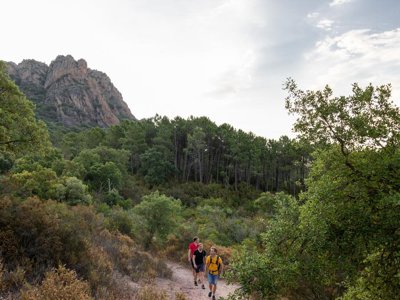 Cliquez pour découvrir toutes les photos de l'ÉTABLISSEMENT ! camping RCN Domaine De La Noguière photo 10