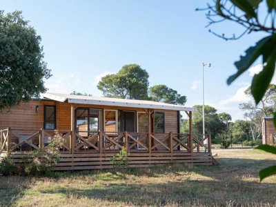 Cliquez pour découvrir toutes les photos de l'ÉTABLISSEMENT ! camping RCN Domaine De La Noguière photo 13