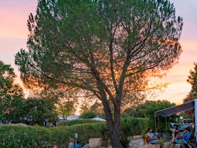 Cliquez pour découvrir toutes les photos de l'ÉTABLISSEMENT ! camping RCN Domaine De La Noguière photo 9