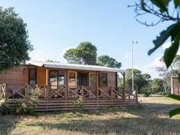 Camping Pas Cher vous présente avec son site Officiel campingpascher.fr, le Camping RCN Domaine De La Noguière classé 4 étoiles, situé sur la commune de Le Muy dans le département Var (Provence Alpes Côte D'azur) en France. Le camping RCN Domaine De La Noguière, vous présente un hébergement de type mobil-home pour 4 personnes avec climatisation. Le camping RCN Domaine De La Noguière vous propose du sam. 12 septembre au sam. 19 septembre 2026 pour 7 nuits à 630€. Cette location propose 137 dates différentes pour réserver votre séjour. Découvrez également les 12 autres gammes d'hébergements du camping. Les Avis clients pour le Camping RCN Domaine De La Noguière sont excellents avec une note moyenne de 8 sur 10. MerÉtang, Piscine extérieure, Animation enfants, Animations familiales, Aire de jeux enfants, Ping-pong, Pétanque, Terrain de football, Bar, Restaurant, Épicerie,... En savoir plus : cliquez-ICI.