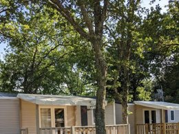 Camping Pas Cher vous présente avec son site Officiel campingpascher.fr, le Camping Laha classé 3 étoiles, situé sur la commune de Lesperon dans le département Landes (Aquitaine) en France. Le camping Laha, vous présente un hébergement de type mobil-home de 26 m² pour 4 personnes et télévision. Le camping Laha vous propose du dimanche 19 avril au dimanche 26 avril 2026, en promotion à -15% pour 7 nuits à 262,65 € au lieu de 309,0 € soit une Économie de 46,35 €. Cette location propose 102 dates différentes pour réserver votre séjour. Découvrez également les 10 autres gammes d'hébergements du camping. Les Avis clients pour le Camping Laha sont excellents avec une note moyenne de 8 sur 10. Piscine extérieure, Animations familiales, Club enfants, Aire de jeux enfants, Cyclisme, Golf, Ping-pong, Pétanque, Randonnée, Terrain de badminton, Bar, Dépôt de pain, Restaurant, Snack/Bar, Épicerie,... En savoir plus : cliquez-ICI.