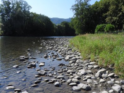 Cliquez pour découvrir toutes les photos de l'ÉTABLISSEMENT ! camping Le Saillet photo 21