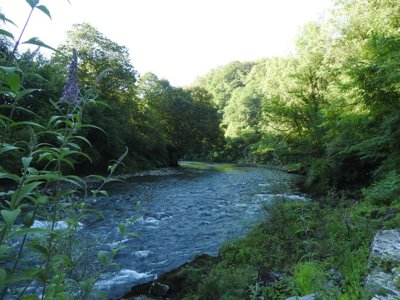 Cliquez pour découvrir toutes les photos de l'ÉTABLISSEMENT ! camping Le Saillet photo 29