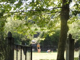 Camping Pas Cher vous présente avec son site Officiel campingpascher.fr, le Camping Le Saillet classé 3 étoiles, situé sur la commune de Lestelle Betharram dans le département Pyrénées-atlantiques (Aquitaine) en France. Le camping Le Saillet, vous présente un hébergement de type bungalow toilé de 20 m² pour 2 personnes. Le camping Le Saillet vous propose du dimanche 05 avril au dimanche 12 avril 2026 pour 7 nuits à 290€. Cette location propose 25 dates différentes pour réserver votre séjour. Découvrez également les 8 autres gammes d'hébergements du camping. Les Avis clients pour le Camping Le Saillet sont excellents avec une note moyenne de 9 sur 10. Piscine extérieure, Animation enfants, Aire de jeux enfants, Canoë-kayak, Centre équestre, Court de tennis, Cyclisme, Golf, Ping-pong, Pétanque, Rafting, Randonnée, Skatepark, Terrain de football, Terrain de volley-ball, Bar, Bureau de tabac, Dépôt de pain, Plats à emporter, Snack/Bar, Supermarché, Épicerie,... En savoir plus : cliquez-ICI.