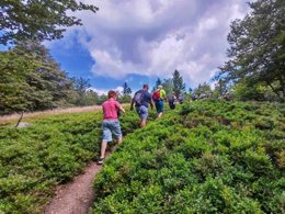 Camping Pas Cher vous présente avec son site Officiel campingpascher.fr, le Camping Flower Du Lac De La Seigneurie classé 3 étoiles, situé sur la commune de Leval dans le département Territoire-de-belfort (Franche Comté) en France. Le camping Flower Du Lac De La Seigneurie, vous présente un hébergement de type tente en toile et bois. Le camping Flower Du Lac De La Seigneurie vous propose du sam. 18 avril au sam. 25 avril 2026 pour 7 nuits à 245€. Cette location propose 90 dates différentes pour réserver votre séjour. Découvrez également les 15 autres gammes d'hébergements du camping. Les Avis clients pour le Camping Flower Du Lac De La Seigneurie sont excellents avec une note moyenne de 10 sur 10. Piscine chauffée, Piscine extérieure, Animations familiales, Club enfants, Aire de jeux enfants, Baby-foot, Ping-pong, Pétanque, Terrain multisports, Bar, Dépôt de pain, Snack/Bar, Épicerie,... En savoir plus : cliquez-ICI.