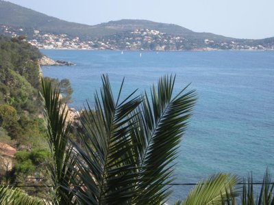 Cliquez pour découvrir toutes les photos de l'ÉTABLISSEMENT ! camping Lou Pantai photo 12