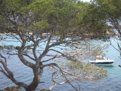 Cliquez pour découvrir toutes les photos de l'ÉTABLISSEMENT ! camping Lou Pantai photo 14