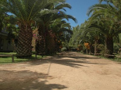 Cliquez pour découvrir toutes les photos de l'ÉTABLISSEMENT ! camping Iscrixedda photo 10