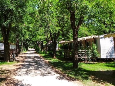 camping Les Foulons photo 28