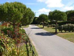Camping Pas Cher vous présente avec son site Officiel campingpascher.fr, le Camping Le Bel Air classé 5 étoiles, situé sur la commune de Les Sables D'olonne dans le département Vendée (Pays De La Loire) en France. Le camping Le Bel Air, vous présente un hébergement de type mobil-home de 32 m² pour 2 personnes et télévision. Le camping Le Bel Air vous proposeun séjour PAS CHER avec une REMISEdu sam. 10 octobre au sam. 17 octobre 2026, en promotion à -52% pour 7 nuits à 209 € au lieu de 441,0 € soit une Économie de 232 €. Cette location propose 24 dates différentes pour réserver votre séjour. Découvrez également les 10 autres gammes d'hébergements du camping. Les Avis clients pour le Camping Le Bel Air sont excellents avec une note moyenne de 8 sur 10. Parc aquatique, Piscine couverte, Piscine extérieure, Club ados, Club enfants, Aire de jeux enfants, Baby-foot, Centre équestre, Cyclisme, Golf, Ping-pong, Piscine, Planche à voile, Pétanque, Salle de fitness, Terrain de volley-ball, Terrain multisports, Bar, Brasserie, Dépôt de pain, Plats à emporter, Snack/Bar, Supermarché, Épicerie,... En savoir plus : cliquez-ICI.
