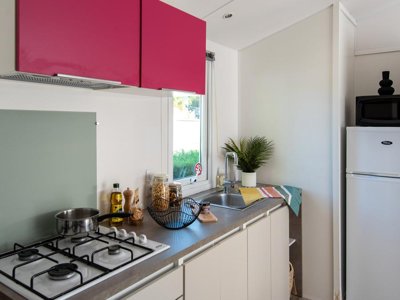 mobil-home - Club Le Trianon 5* - MS VACANCES photo 3