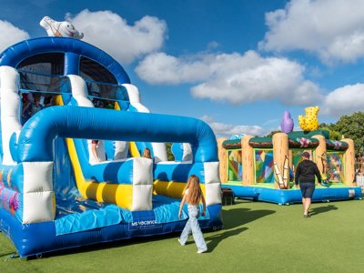 Cliquez pour découvrir toutes les photos de l'ÉTABLISSEMENT ! camping Club Le Trianon 5* - MS VACANCES photo 22