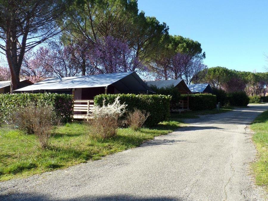 Camping Pas Cher vous présente avec son site Officiel campingpascher.fr, le Camping Flower Provence Vallée classé 3 étoiles, situé sur la commune de Manosque dans le département Alpes-de-haute-provence (Provence Alpes Côte D'azur) en France. Le camping Flower Provence Vallée, vous présente un hébergement de type tente de 40 m² pour 5 personnes. Le camping Flower Provence Vallée vous propose du sam. 29 août au sam. 05 septembre 2026 pour 7 nuits à 322€. Cette location propose 34 dates différentes pour réserver votre séjour. Découvrez également les 14 autres gammes d'hébergements du camping. Les Avis clients pour le Camping Flower Provence Vallée sont excellents avec une note moyenne de 9 sur 10. Lac, Piscine chauffée, Piscine extérieure, Animations familiales, Club ados, Club enfants, Aire de jeux enfants, Canoë-kayak, Centre équestre, Cyclisme, Golf, Paddle, Ping-pong, Pétanque, Randonnée, Structure gonflable enfants, Terrain de football, Terrain de volley-ball, Bar, Boulangerie, Dépôt de pain, Food truck, Plats à emporter, Supermarché, Épicerie,... En savoir plus : cliquez-ICI.