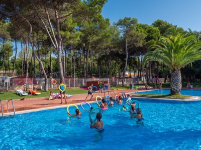 Cliquez pour découvrir toutes les photos de l'ÉTABLISSEMENT ! établissement Santa Elena Ciutat photo 7