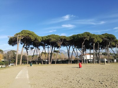 Cliquez pour découvrir toutes les photos de l'ÉTABLISSEMENT ! camping Campeggio Italia photo 24