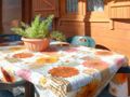 Cliquez pour découvrir toutes les photos de l'HÉBERGEMENT ! bungalow - camping Campeggio Italia photo 2
