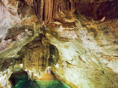 camping L'Olivier photo 14