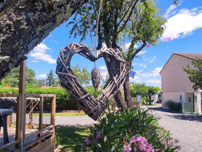 camping L'Olivier photo 2