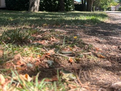 Cliquez pour découvrir toutes les photos de l'ÉTABLISSEMENT ! camping Le Cottage Boisé photo 17