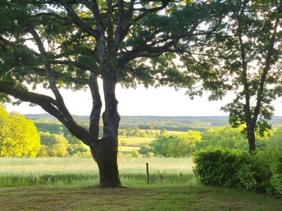 Cliquez pour découvrir toutes les photos de l'ÉTABLISSEMENT ! camping Sites Et Paysages - Les Hirondelles photo 18