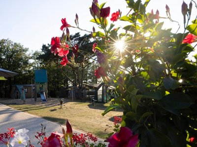 Cliquez pour découvrir toutes les photos de l'ÉTABLISSEMENT ! camping Sites Et Paysages - Les Hirondelles photo 5