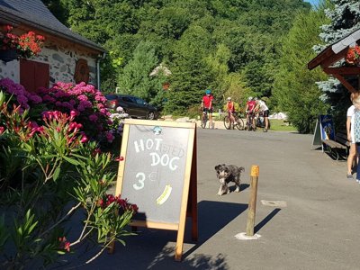 Cliquez pour découvrir toutes les photos de l'ÉTABLISSEMENT ! camping La Forêt photo 30