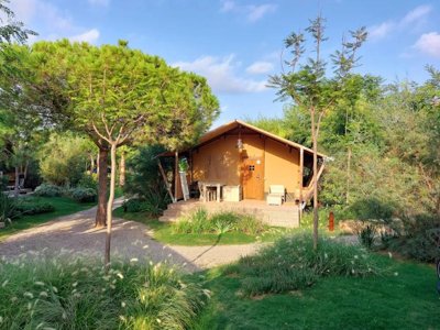 Cliquez pour découvrir toutes les photos de l'ÉTABLISSEMENT ! camping Del Mar photo 21