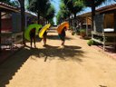 Cliquez pour découvrir toutes les photos de l'ÉTABLISSEMENT ! camping Del Mar photo 7