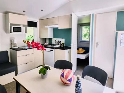 Cliquez pour découvrir toutes les photos de l'HÉBERGEMENT ! mobil-home - Relais Du Léman Pausado photo 4