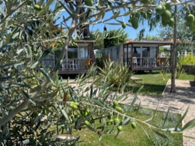 Cliquez pour découvrir toutes les photos de l'ÉTABLISSEMENT ! camping Les Cigales photo 15