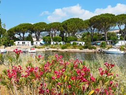 Camping Pas Cher vous présente avec son site Officiel campingpascher.fr, le Camping Les Cigales classé 4 étoiles, situé sur la commune de Mandelieu La Napoule dans le département Alpes-maritimes (Provence Alpes Côte D'azur) en France. Le camping Les Cigales vous propose un hébergement de type mobil-home de 29 m². L'établissement vous propose 2 autres types d'hébergements. Découvrez tous nos séjours à petits prix dans la commune et aux alentours de Mandelieu La Napoule du département : Alpes-maritimes (Provence Alpes Côte D'azur). Les Avis clients pour le Camping Les Cigales sont excellents avec une note moyenne de 8 sur 10. MerRivière, Piscine extérieure, Aire de jeux enfants, Baby-foot, Centre équestre, Ping-pong, Salle de jeux vidéo, Surf, kiteSurf,... En savoir plus : cliquez-ICI.