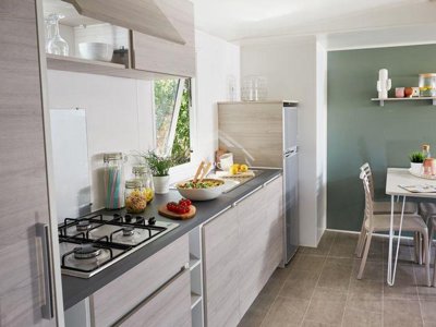 Cliquez pour découvrir toutes les photos de l'HÉBERGEMENT ! mobil-home - De La Grande Lande photo 3