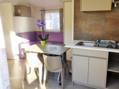 Cliquez pour découvrir toutes les photos de l'HÉBERGEMENT ! mobil-home - De La Grande Lande photo 4