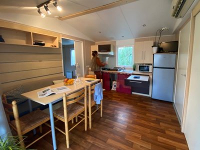 Cliquez pour découvrir toutes les photos de l'HÉBERGEMENT ! mobil-home - De La Grande Lande photo 4
