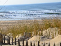 Camping Pas Cher vous présente avec son site Officiel campingpascher.fr, la Résidence Odalys Référence Bleu Océan classé 3 étoiles, située sur la commune de Moliets dans le département Landes (Aquitaine) en France. La résidence Odalys Référence Bleu Océan, vous présente un hébergement de type appartement de 47 m² pour 1 personne et télévision. La résidence Odalys Référence Bleu Océan vous propose du sam. 16 mai au sam. 23 mai 2026 pour 7 nuits à 519€. Cette location propose 17 dates différentes pour réserver votre séjour. Découvrez également les 5 autres gammes d'hébergements de la résidence. MerÉtang, Piscine extérieure, Aire de jeux enfants, Canoë-kayak, Centre équestre, Court de tennis, Golf, Piscine,... En savoir plus : cliquez-ICI.