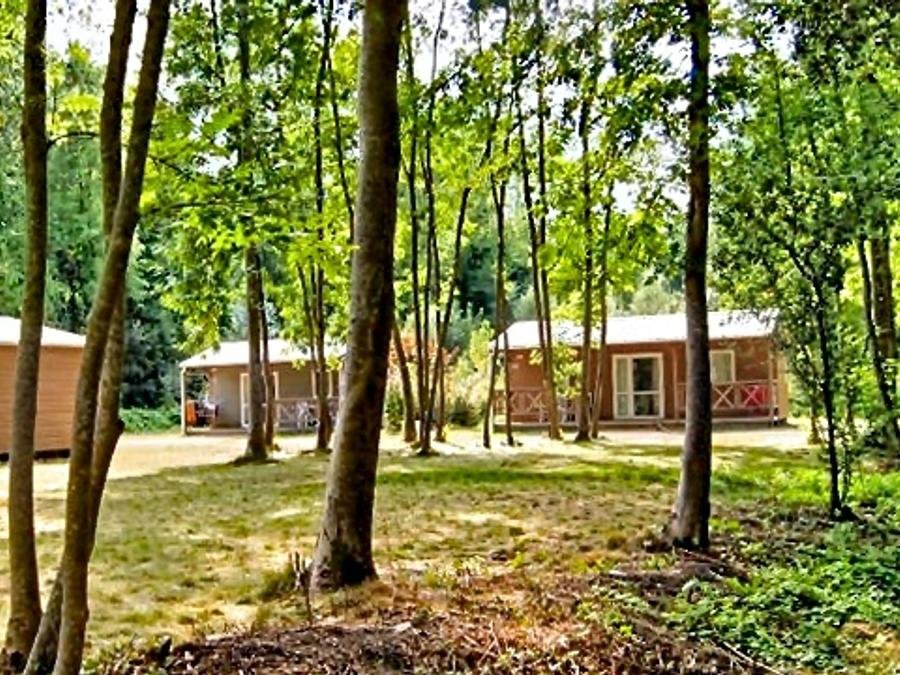 Camping Pas Cher vous présente avec son site Officiel campingpascher.fr, le Camping Moncontour Active Park classé 3 étoiles, situé sur la commune de Moncontour dans le département Vienne (Poitou Charentes) en France. Le camping Moncontour Active Park, vous présente un hébergement de type chalet de 35 m². Le camping Moncontour Active Park vous propose du sam. 12 septembre au sam. 19 septembre 2026 pour 7 nuits à 392€. Cette location propose 109 dates différentes pour réserver votre séjour. Découvrez également les 3 autres gammes d'hébergements du camping. Les Avis clients pour le Camping Moncontour Active Park sont excellents avec une note moyenne de 8 sur 10. Lac, Aire de jeux enfants, Canoë-kayak, Centre équestre, Court de tennis, Golf, Pétanque, Randonnée, Sports nautiques, Terrain de football, Bar, Restaurant,... En savoir plus : cliquez-ICI.