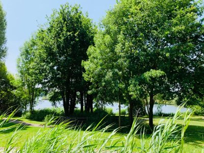 Cliquez pour découvrir toutes les photos de l'ÉTABLISSEMENT ! camping Natura Resort Pescalis photo 23