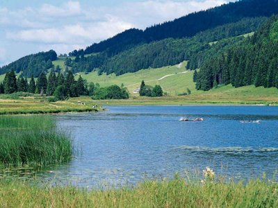 camping Sous Doriat photo 22