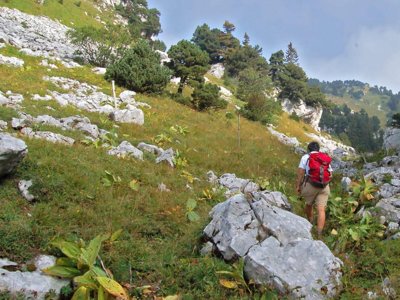 camping Sous Doriat photo 27