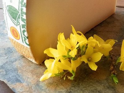 camping Sous Doriat photo 7