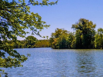 Cliquez pour découvrir toutes les photos de l'ÉTABLISSEMENT ! camping Flower Lac Aux Oiseaux photo 10