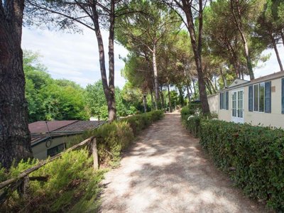 Cliquez pour découvrir toutes les photos de l'HÉBERGEMENT ! mobil-home - Toscana Holiday Village photo 2