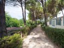 Cliquez pour découvrir toutes les photos de l'HÉBERGEMENT ! mobil-home - camping Toscana Holiday Village photo 2