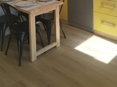 Cliquez pour découvrir toutes les photos de l'HÉBERGEMENT ! mobil-home - Parc De Loisirs Le Faillal photo 3
