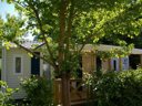 mobil-home - camping La Cigaline photo 2
