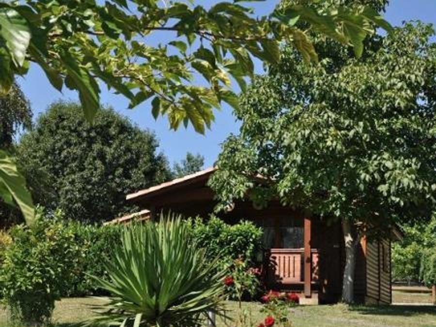 Camping Pas Cher vous présente avec son site Officiel campingpascher.fr, le Camping Midi Pyrénées classé 4 étoiles, situé sur la commune de Montrejeau dans le département Haute-garonne (Midi Pyrénées) en France. Le camping Midi Pyrénées, vous présente un hébergement de type chalet de 35 m² avec climatisation. Le camping Midi Pyrénées vous propose du sam. 06 juin au sam. 13 juin 2026 pour 7 nuits à 259€. Cette location propose 17 dates différentes pour réserver votre séjour. Découvrez également les 8 autres gammes d'hébergements du camping. Les Avis clients pour le Camping Midi Pyrénées sont excellents avec une note moyenne de 9 sur 10. Piscine extérieure, Animations familiales, Club ados, Club enfants, Aire de jeux enfants, Baby-foot, Canoë-kayak, Centre équestre, Court de tennis, Cyclisme, Golf, Ping-pong, Piscine, Plongée, Pétanque, Randonnée, Salle de jeux vidéo, Terrain de football, Terrain multisports, Bar, Boulangerie, Dépôt de pain, Pizzeria, Plats à emporter, Snack/Bar, Station-service, Supermarché, Épicerie,... En savoir plus : cliquez-ICI.